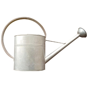 Vintage Galvanized Watering Can $29.99