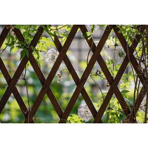 20% Off Any In Stock Garden Trellis