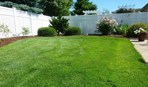 Best Yard Projects for Summer Weather