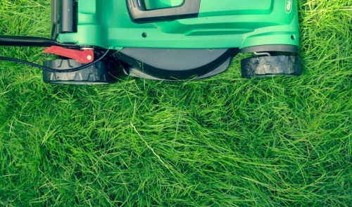 'Tis the Season to Dethatch...