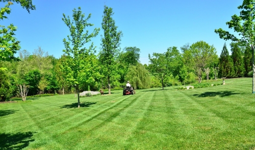 Landscape Like a Pro