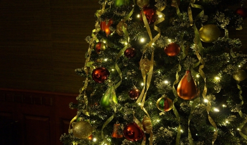 Have a Tree-mendous (and SAFE) Holiday