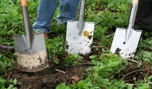 Top 10 Tips for New Gardeners