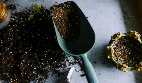Gardening By the Numbers