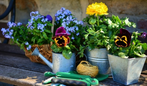 Don't Put Away Your Gardening Tools