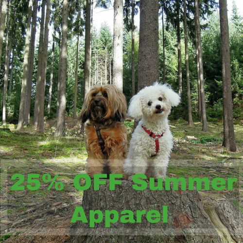 25% OFF Summer Apparel