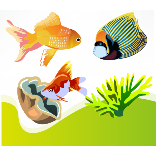 20% OFF Fish Ornaments