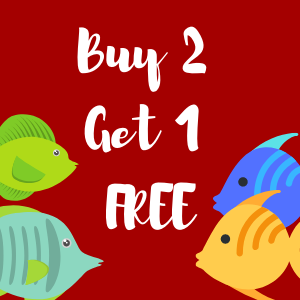 Buy 2 Tropical Fish Get 1 FREE!