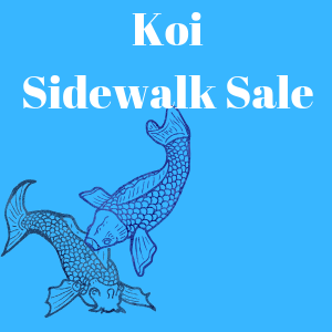 Koi Sidewalk Sale