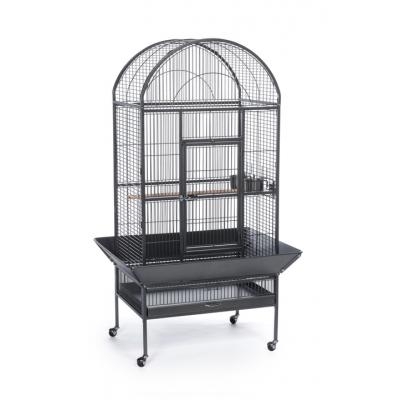 50% Off Any Wrought Iron Cage w/ Purchase of Bird