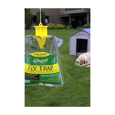 Disposable Fly Traps