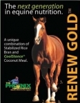 Renew Gold
