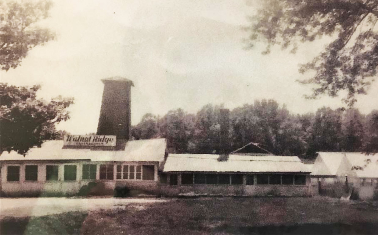 Landscapers In Jeffersonville Landscaping Supplies Southern 1953 Walnut Ridge Greenhouses Main Focus Was As A Whole Supplier To The Retail Florist Trade In Surrounding Area However There New Trend