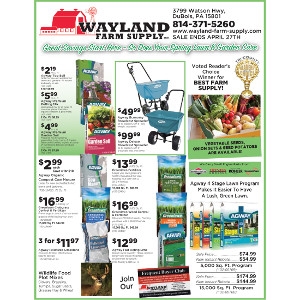 April Sales Flyer