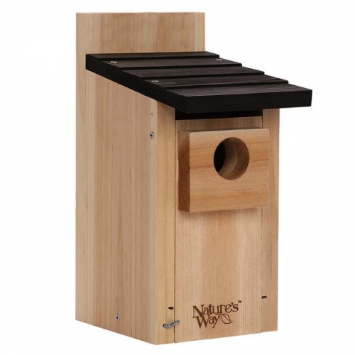 20% off Everything Bludebird