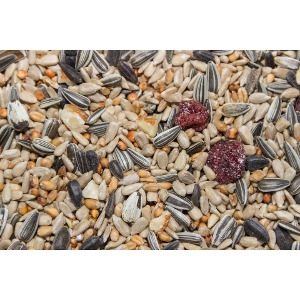 $5 Off 30lb Bag or Larger of Bird Seed