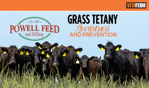 Grass Tetany Awareness and Prevention