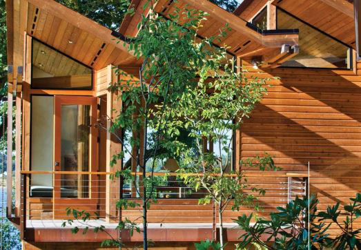 real cedar