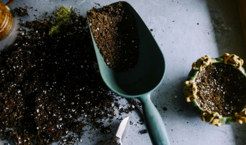Let's Talk About Dirt!