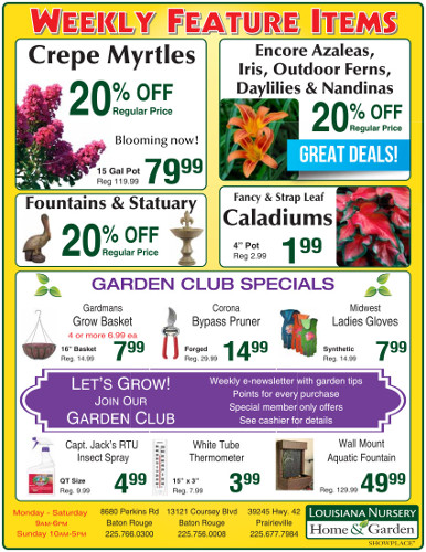 Sales &amp; Coupons for Louisiana Nursery | Louisiana Nursery