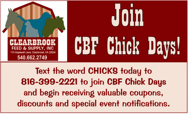 Chick