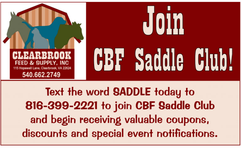 Saddle