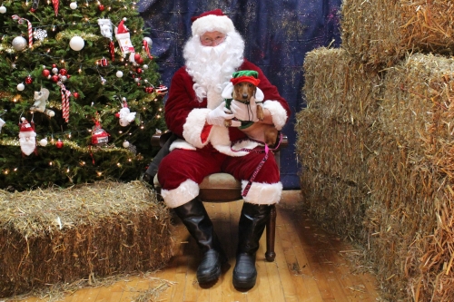 Our 20th Annual Pictures with Santa