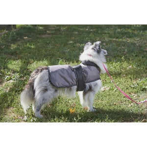 Dog Coats Ranging 10%-50% Off