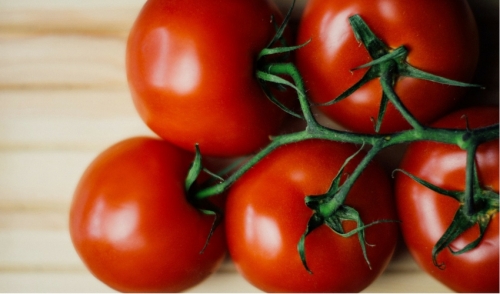 6 Secrets for Growing the Tastiest Tomatoes